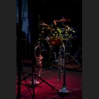 IMG_8881.jpg